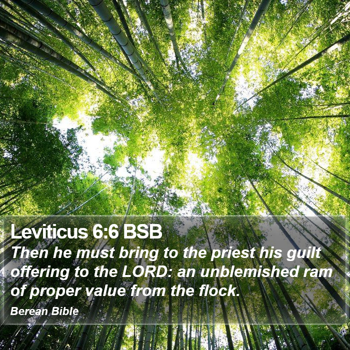 Leviticus 6:6 BSB Bible Study