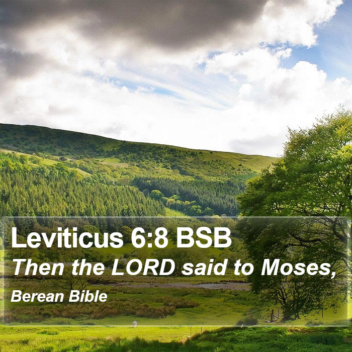 Leviticus 6:8 BSB Bible Study