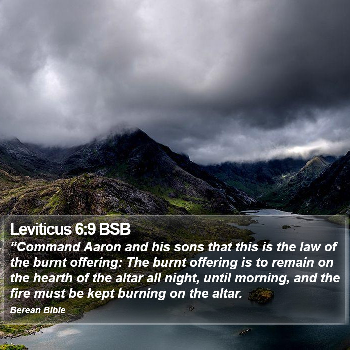 Leviticus 6:9 BSB Bible Study