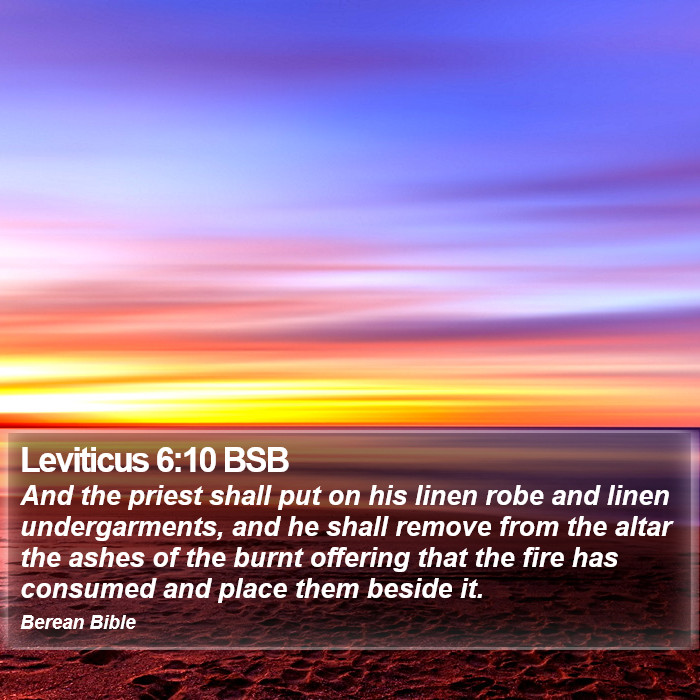 Leviticus 6:10 BSB Bible Study