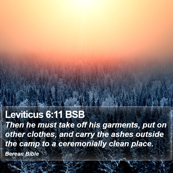 Leviticus 6:11 BSB Bible Study