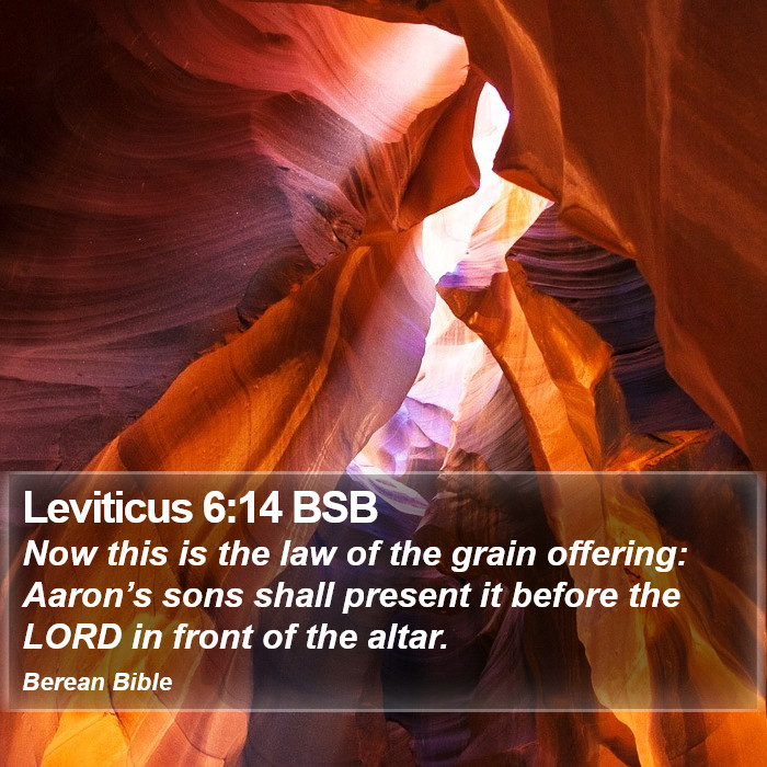 Leviticus 6:14 BSB Bible Study