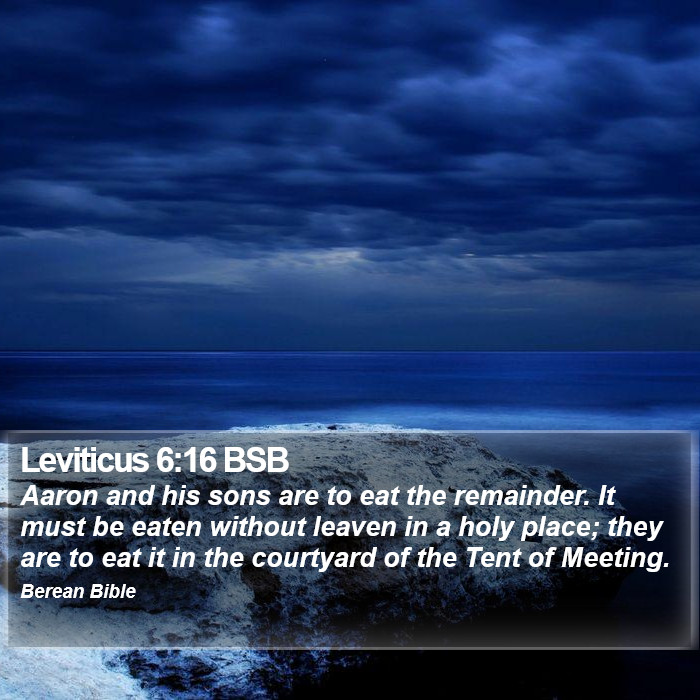 Leviticus 6:16 BSB Bible Study