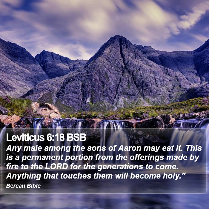 Leviticus 6:18 BSB Bible Study