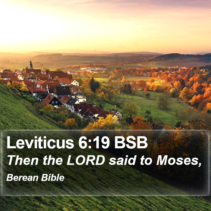 Leviticus 6:19 BSB Bible Study