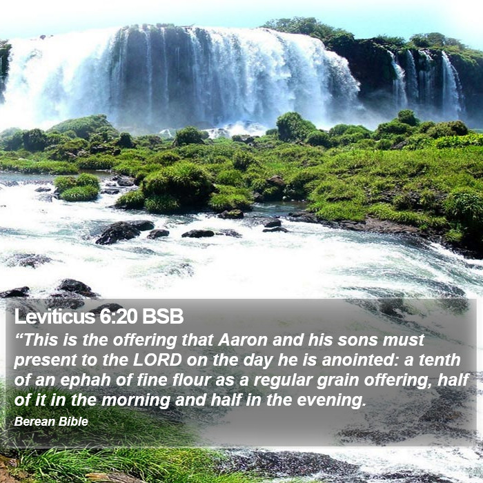 Leviticus 6:20 BSB Bible Study