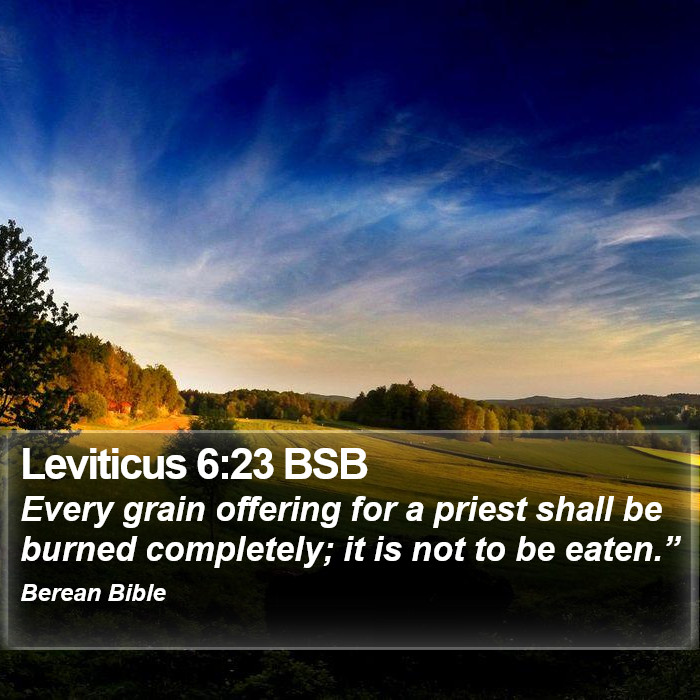 Leviticus 6:23 BSB Bible Study