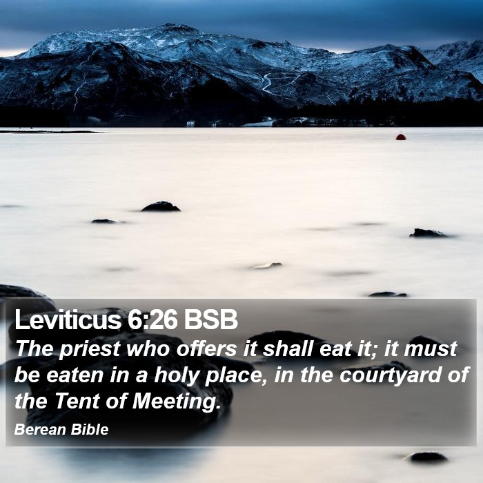 Leviticus 6:26 BSB Bible Study