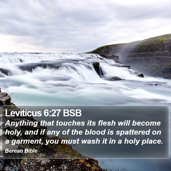 Leviticus 6:27 BSB Bible Study