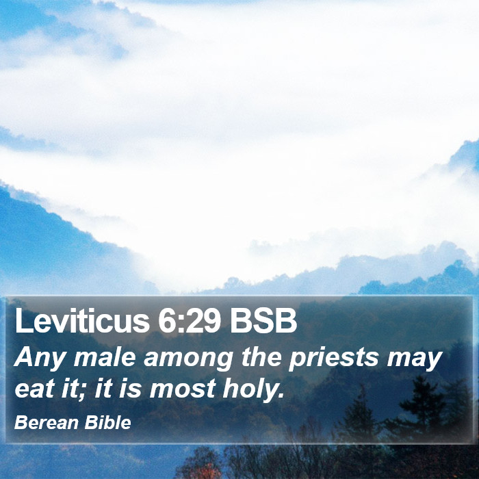 Leviticus 6:29 BSB Bible Study