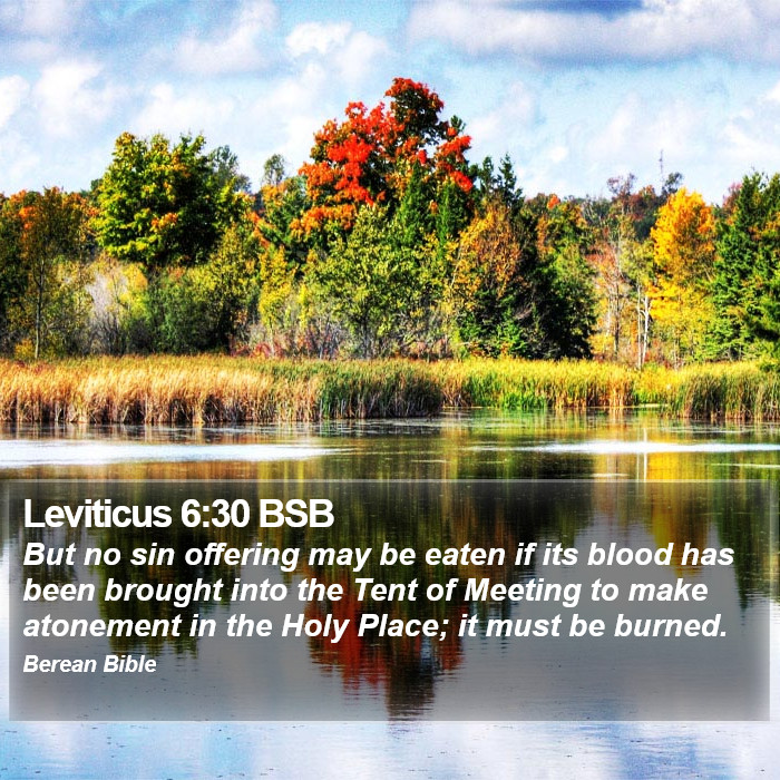 Leviticus 6:30 BSB Bible Study