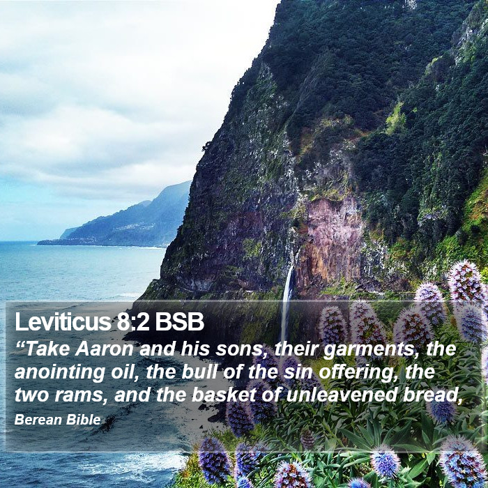 Leviticus 8:2 BSB Bible Study