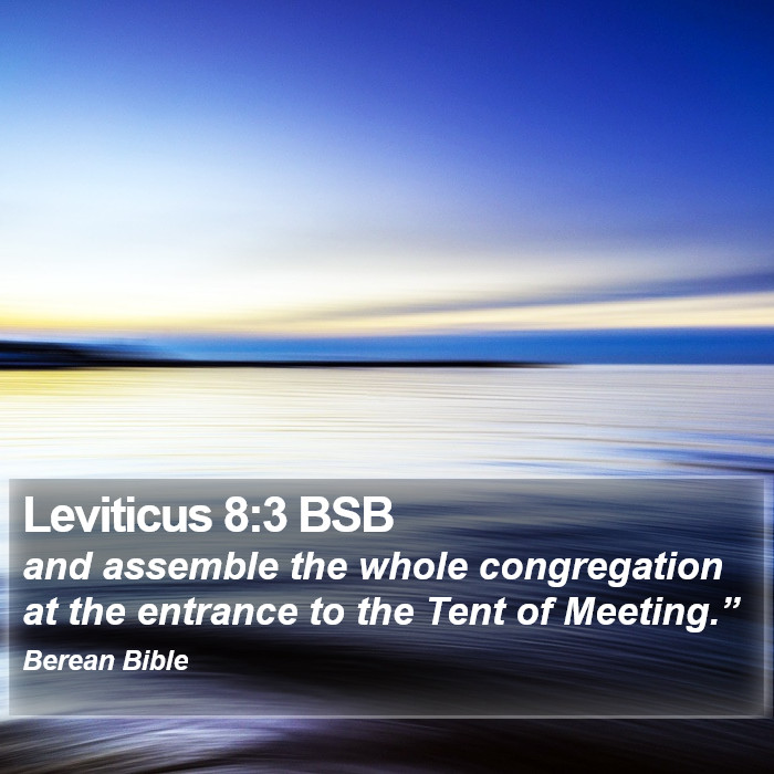 Leviticus 8:3 BSB Bible Study