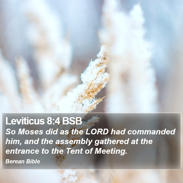 Leviticus 8:4 BSB Bible Study