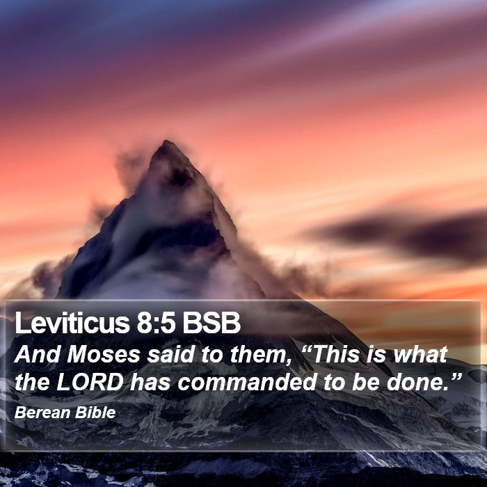 Leviticus 8:5 BSB Bible Study