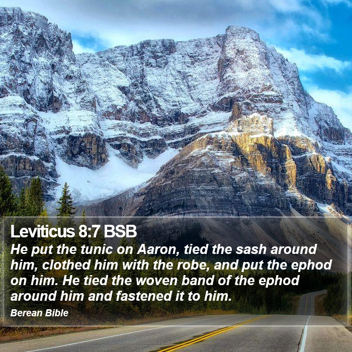 Leviticus 8:7 BSB Bible Study