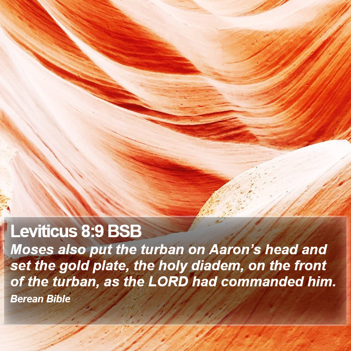 Leviticus 8:9 BSB Bible Study