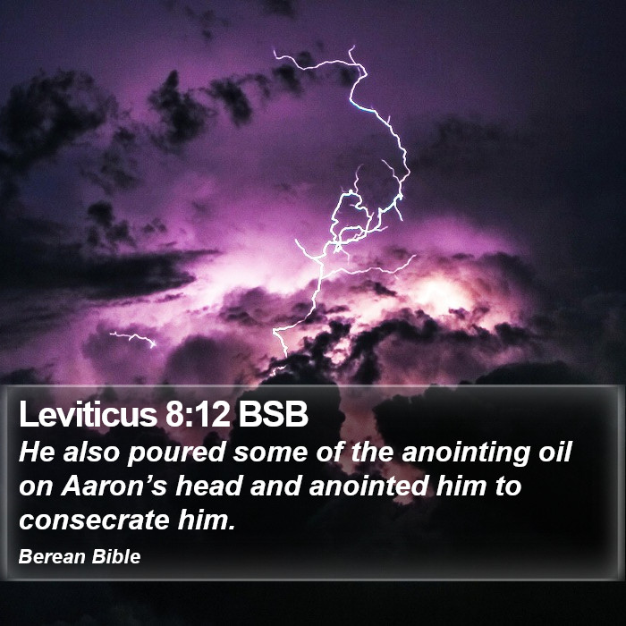 Leviticus 8:12 BSB Bible Study