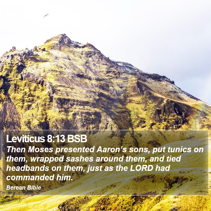 Leviticus 8:13 BSB Bible Study