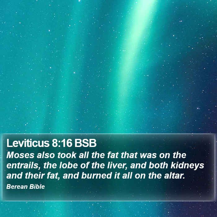 Leviticus 8:16 BSB Bible Study