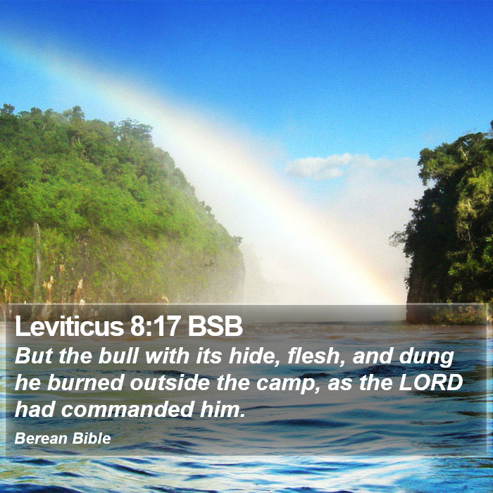 Leviticus 8:17 BSB Bible Study