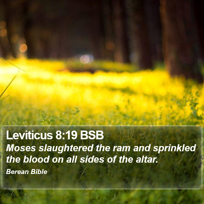 Leviticus 8:19 BSB Bible Study