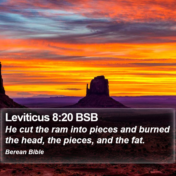 Leviticus 8:20 BSB Bible Study