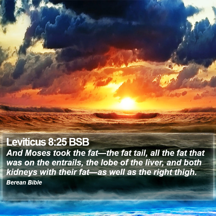 Leviticus 8:25 BSB Bible Study