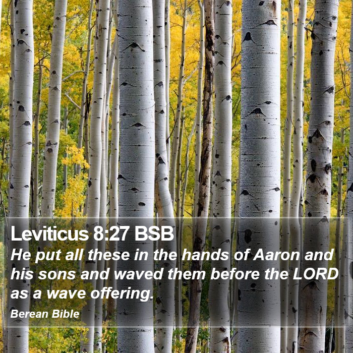 Leviticus 8:27 BSB Bible Study