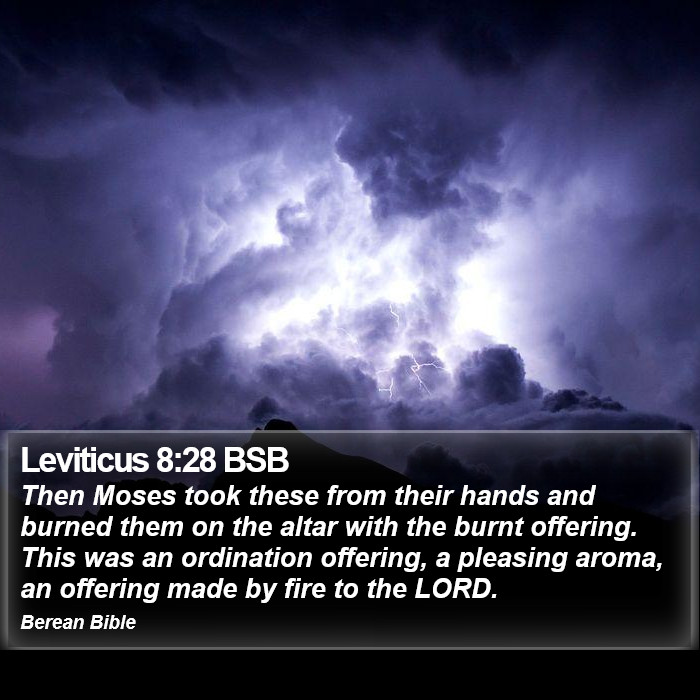 Leviticus 8:28 BSB Bible Study