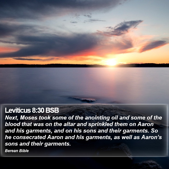 Leviticus 8:30 BSB Bible Study