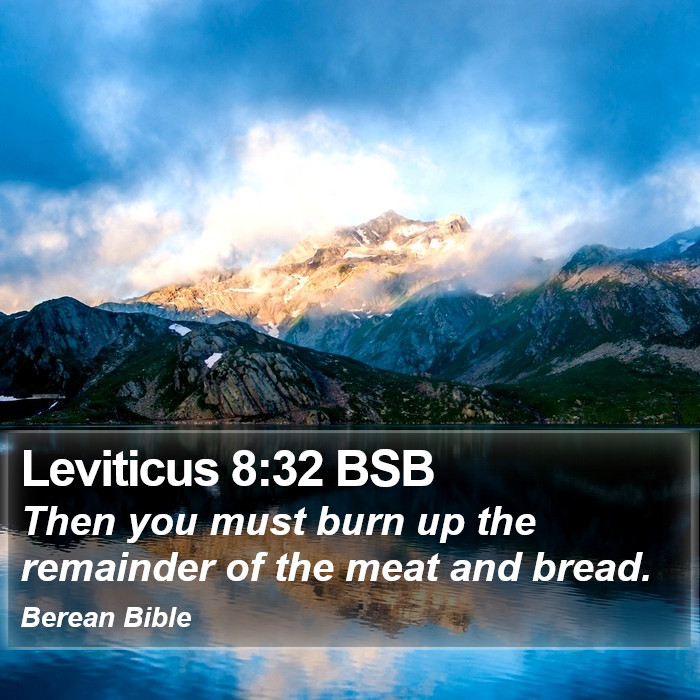 Leviticus 8:32 BSB Bible Study