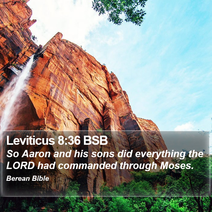 Leviticus 8:36 BSB Bible Study