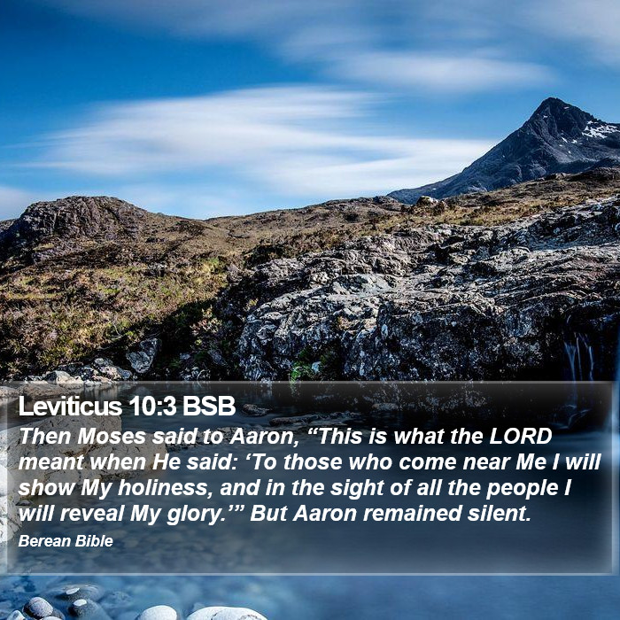 Leviticus 10:3 BSB Bible Study