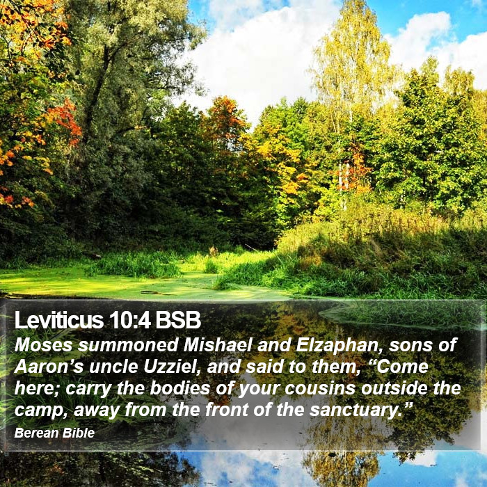 Leviticus 10:4 BSB Bible Study