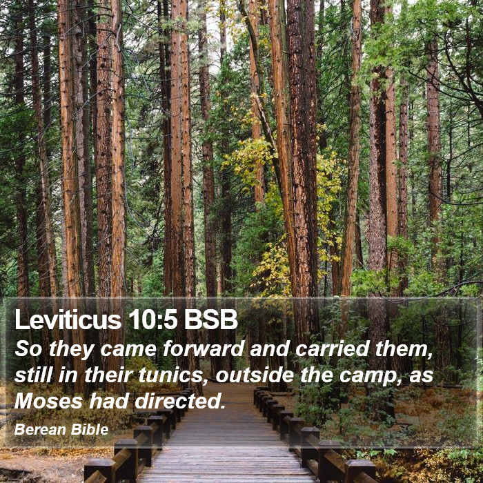 Leviticus 10:5 BSB Bible Study