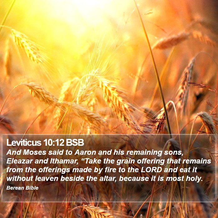 Leviticus 10:12 BSB Bible Study