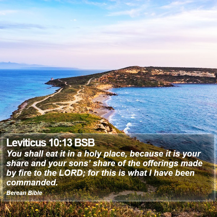 Leviticus 10:13 BSB Bible Study