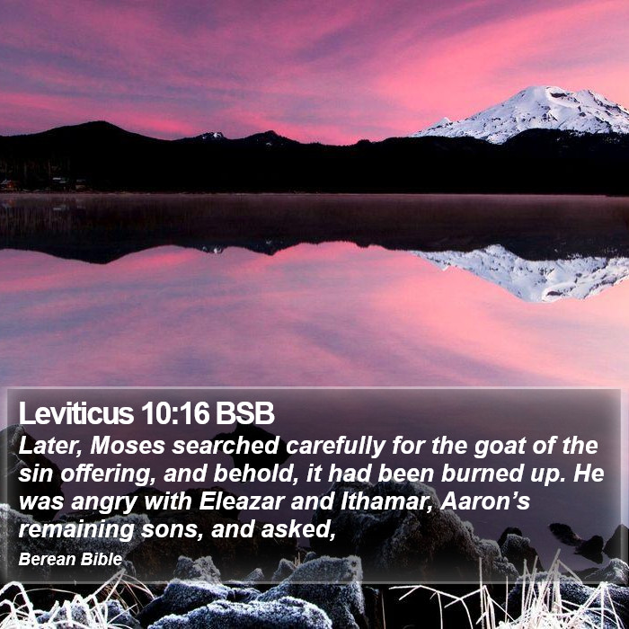 Leviticus 10:16 BSB Bible Study