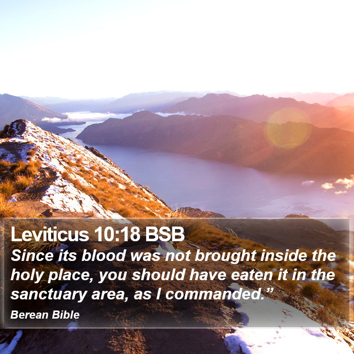 Leviticus 10:18 BSB Bible Study