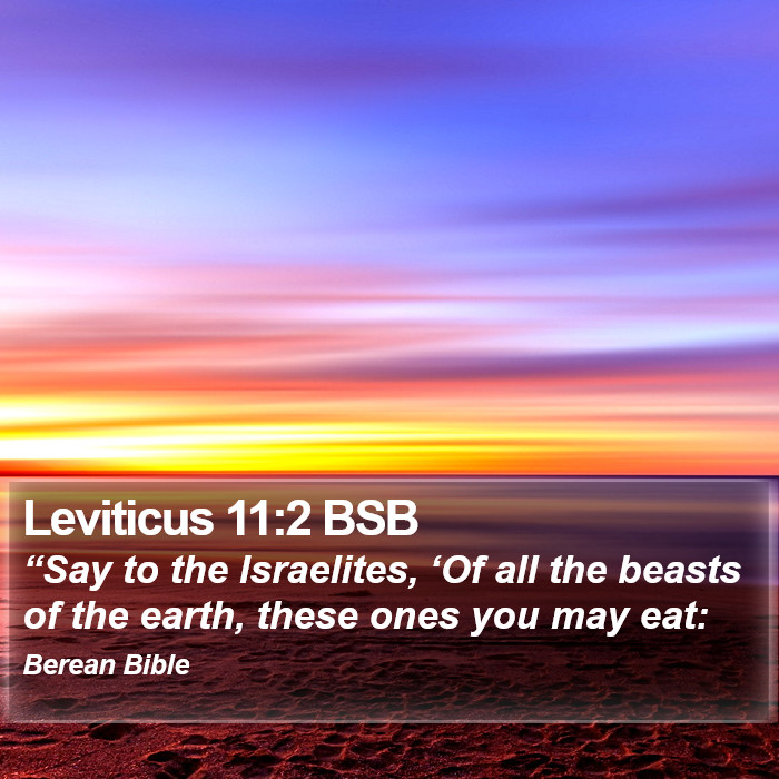 Leviticus 11:2 BSB Bible Study