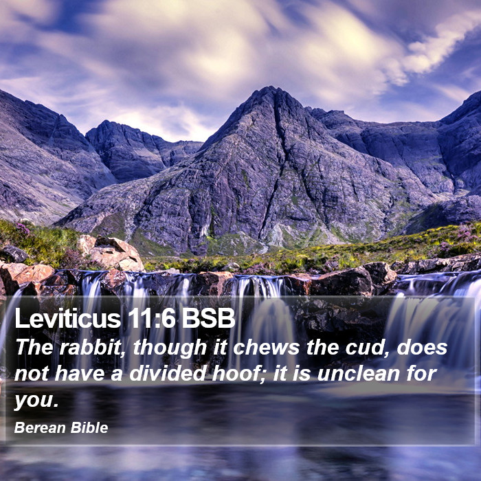 Leviticus 11:6 BSB Bible Study