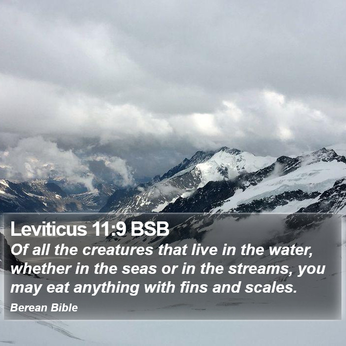 Leviticus 11:9 BSB Bible Study