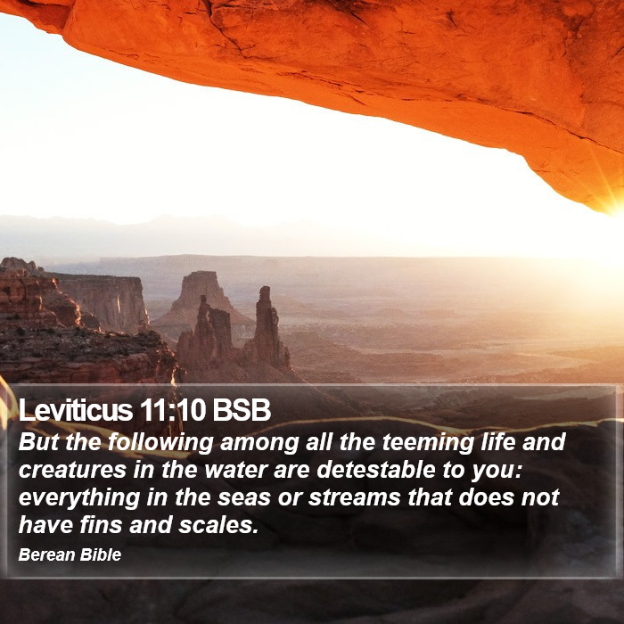 Leviticus 11:10 BSB Bible Study