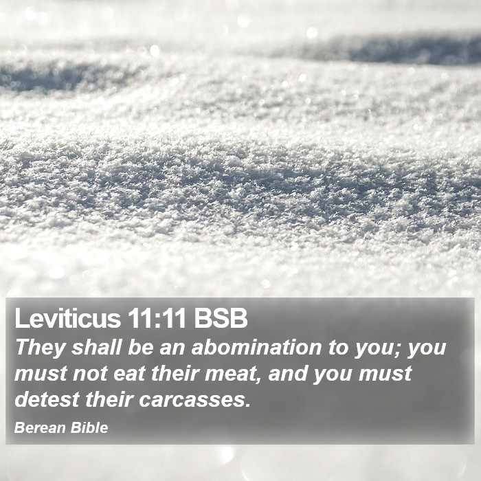 Leviticus 11:11 BSB Bible Study