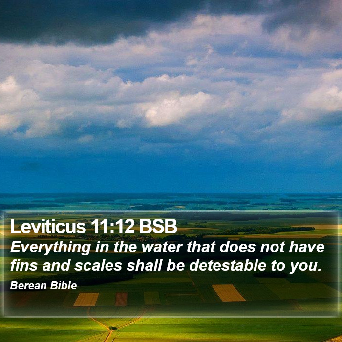 Leviticus 11:12 BSB Bible Study