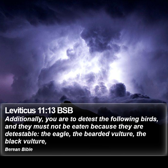 Leviticus 11:13 BSB Bible Study