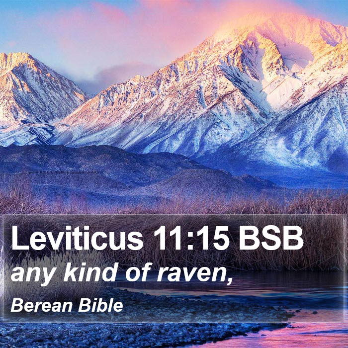 Leviticus 11:15 BSB Bible Study