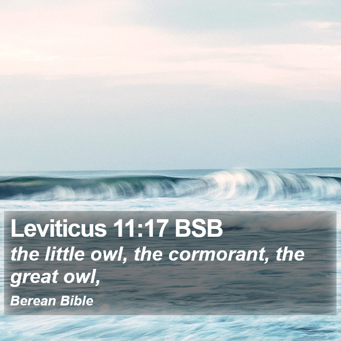 Leviticus 11:17 BSB Bible Study