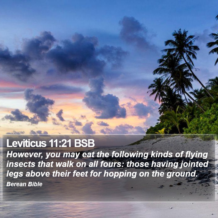 Leviticus 11:21 BSB Bible Study